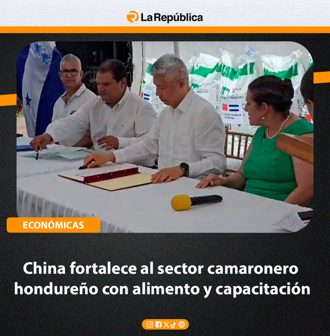 China fortalece al sector camaronero hondureño con alimento y capacitación - Cover Image
